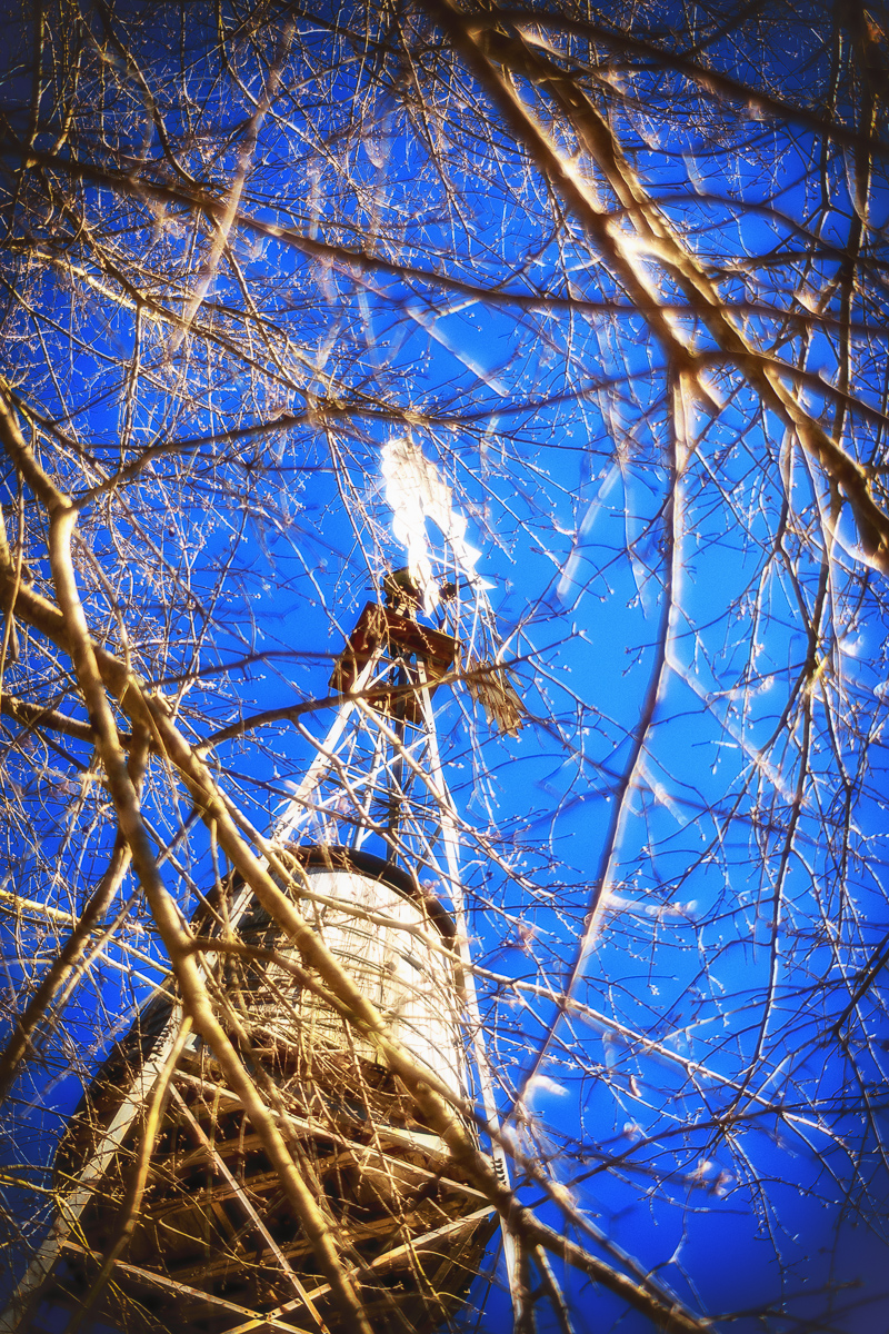 Gallery for Plains, Georgia updated