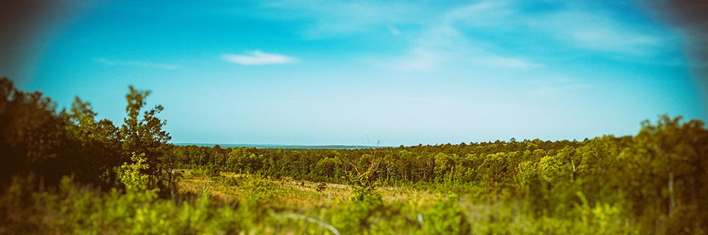 Where You At? A Bioregional Quiz