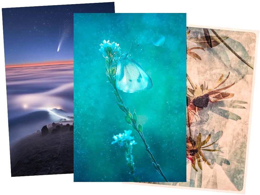 Two Photography Contents with Results Worth It