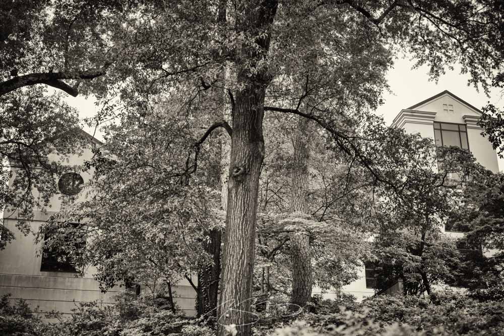 Gallery Update: The Columbus Museum