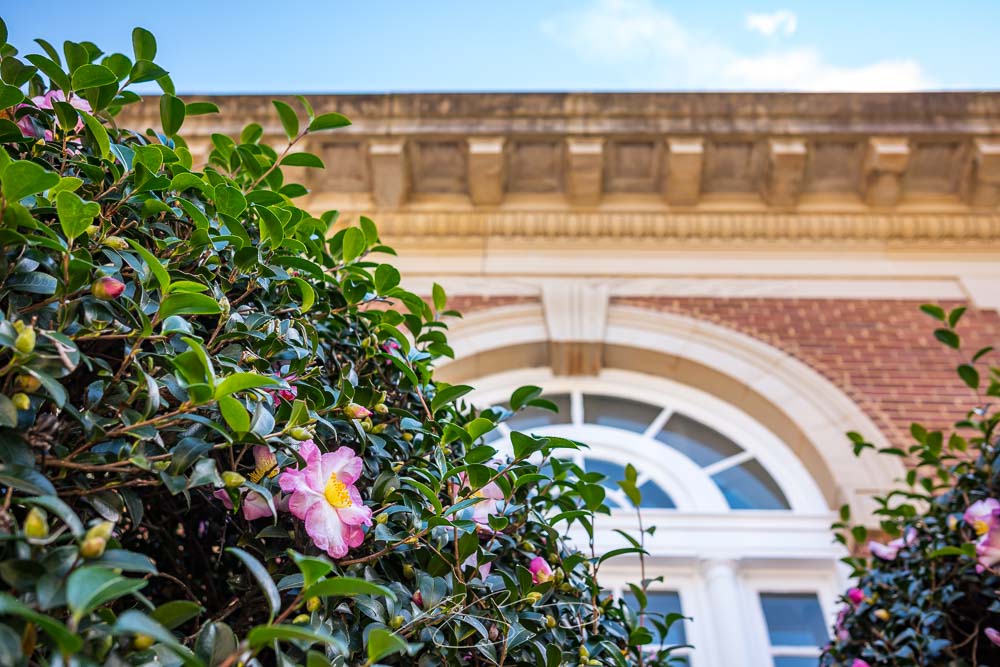 Updated Gallery: Milledgeville