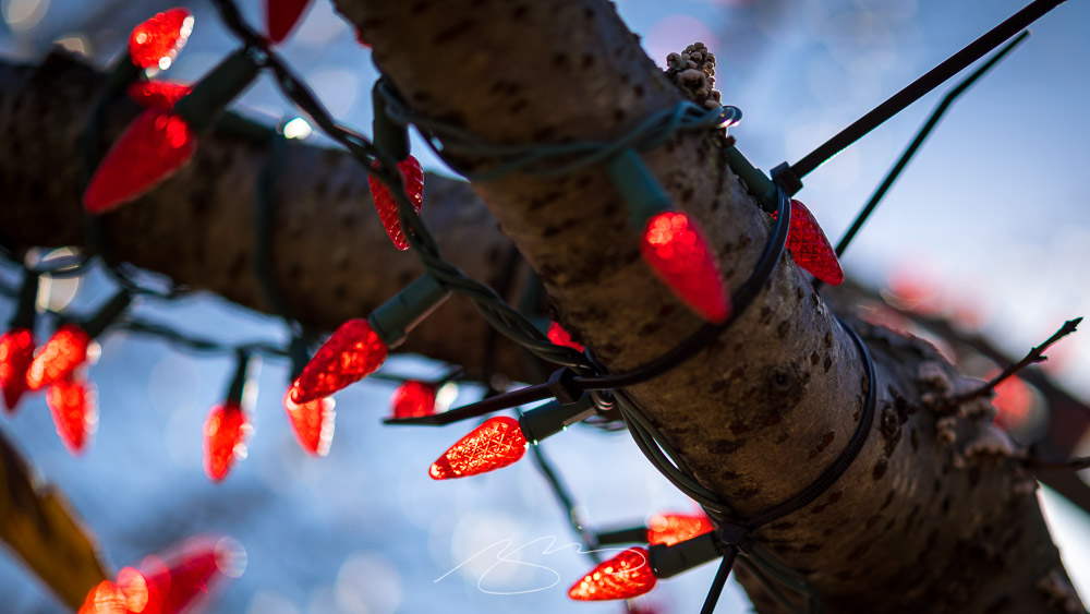 Beautifully Briefed, Holiday Edition (Late December, 2022): Nick Heer, Jason Kottke, Stealing Sheep, a Landscape Photograph, and Some Old Logos